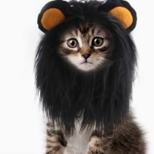 Lion wig hat for pets